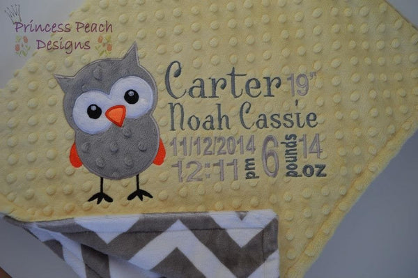 Personalized Minky Blanket, owl birth stats embroidered, other colors available.